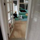 플로레스타 이미지