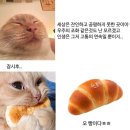 노브식스 | 8월 일상(하)