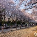 창원시립진해박물관 이미지