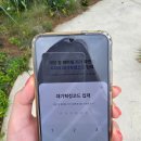 한다무역 | 남해 때깔로 무역 블루리본 맛집 웨이팅 식사 후기