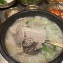 세븐일레븐 부산서면롯데점 | 서면 국밥 맛집 수변최고돼지국밥 롯데점 내돈내산 후기