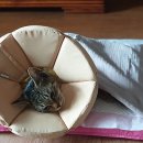 노아동물병원 이미지