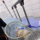 이수영내과의원 이미지