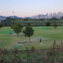 금호강변(세천파크골프장) 이미지