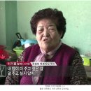 꽃돼지 - 구리시 이문안로136번길 20 | 꽃돼지