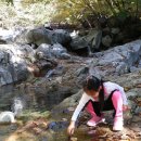 구만동 오토캠핑장 이미지