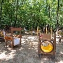 봉제산 등촌동 숲속놀이터 이미지