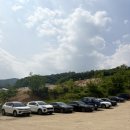 용인 대형카페 산책하기 좋은 용인 자작나무숲 베툴라 후기
