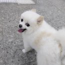 닥터강동물병원 이미지