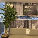 내이치과기공소 이미지