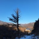 낭만캠프 이미지