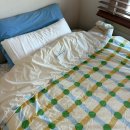 크린토피아(코인워시 전곡점) | [서울/마곡] 크린토피아 코인 세탁방 후기 및 정보