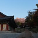 청솔복집 이미지