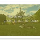 The green green grass of home-(월랑버전) 이미지