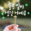 품바가수 이태백 구례산수유꽃축제 공연일정 이미지