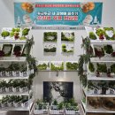 대조동 주민센터 이미지