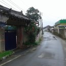 솟티 이미지
