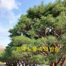국립 중앙박물관의 반송이야기입니다. 이미지