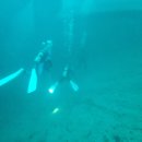 제이제이다이브 | 코론 바라쿠다 호수 (Barracuda Lake)다이빙, 온냉수층 12m아래 39℃ 해수층