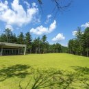 강아지숲 박물관 이미지