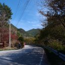 국립속리산말티재자연휴양림 이미지