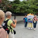 냥이마을 이미지