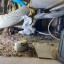 상대아파트 이미지