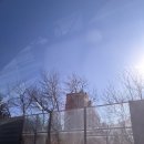 일심상회 | 라멘 / 포토이즘 무한도전 프레임 / 정화식당 / 강릉 중앙시장 / 일심상회 방어회 포장)내돈내산 솔직후기