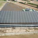 반딧불태양광발전소 이미지