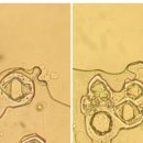 경대가정의학과의원 이미지