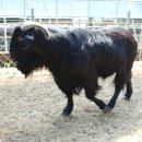 매화골농장 이미지