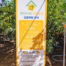 경진이네감귤농장 - 서귀포시 번영로 3243 | 경진이네감귤농장