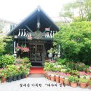 타샤의집 이미지