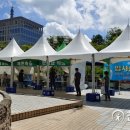 사하구-73 이미지