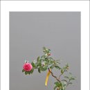 인터루드 이미지