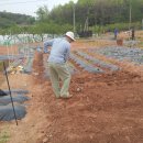 신가농장 이미지