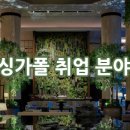 선진광 이미지