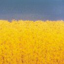 경성대학교 멀티미디어대학원 이미지