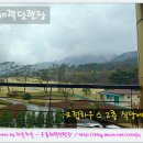 구룡하우스 Daum카페
