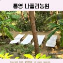 경남 통영 아이와 가족여행 맨발체험 족욕 나폴리농원 내돈내산