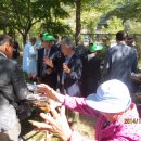 삼장사 - 1373 | 삼장사