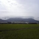 지산퇴비 티스토리