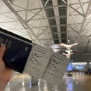 아이시스안경 | 탄자니아 신혼여행 1 | 21시간 비행 하마드 국제공항 환승해서 탄자니아 가기