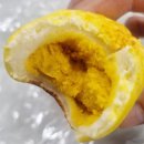 나들가게 정문 | 광주 소금빵트럭 후기(가격, 맛, 위치)