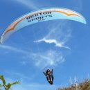 쌍용자동차하나로 이미지