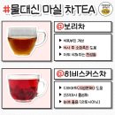 물 대신에 마셔도 되는 차(TEA)종류 이미지