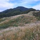 10월10일(제704차)호남의 종산 장안산 억새와 백두대간(백운산&amp;영취산)산행입니다. 이미지