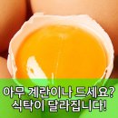 대저엽채산지유통센터 | 무심코 먹던 계란? 1번 유정란으로 달라지는 식탁!