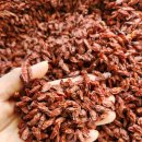 진도향기특산품 이미지