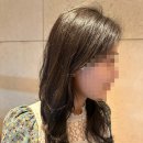 봄헤어스프링헤어 | 헤어오일 세럼 추천 : 촉촉한 수분기를 함유한 헤넬 더 스프링 헤어(오일) 세럼 사용 후기
